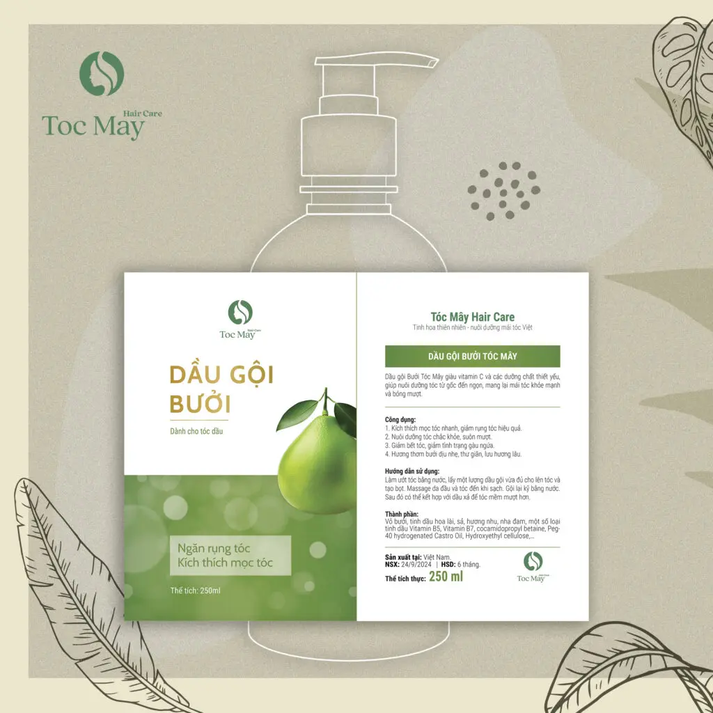 Ý NGHĨA CỦA BỘ NHẬN DIỆN